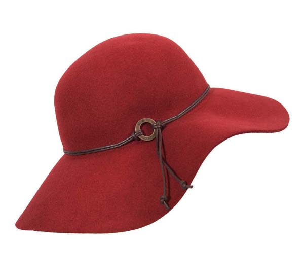 Image result for le chapeau