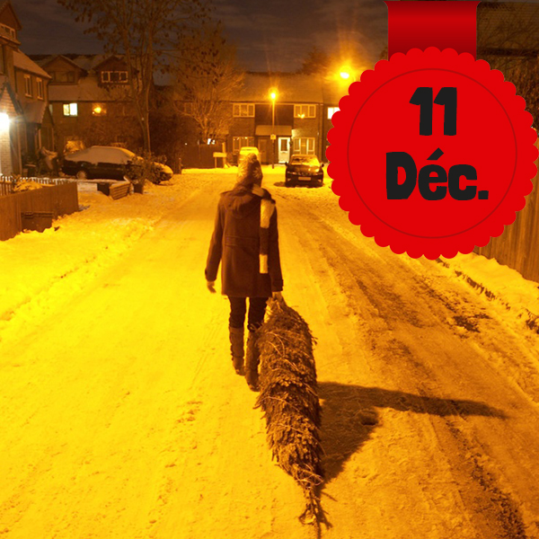 Ca sent le sapin – épisode 1