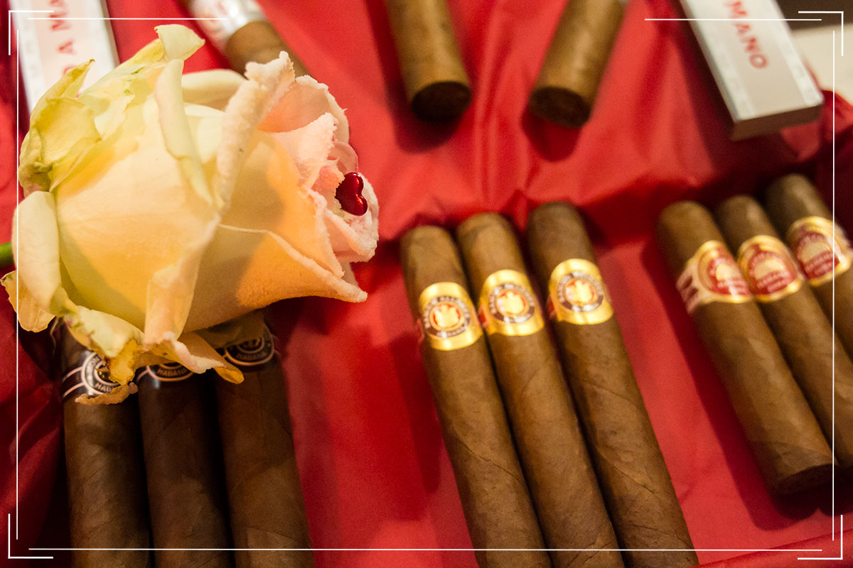 Le cigare