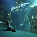 petite-fille-regardant-requins-aquarium-La-Rochelle